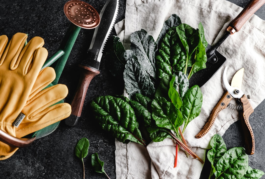 Spring Gardening Essentials